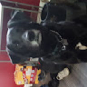 Meet your Posher, Marla